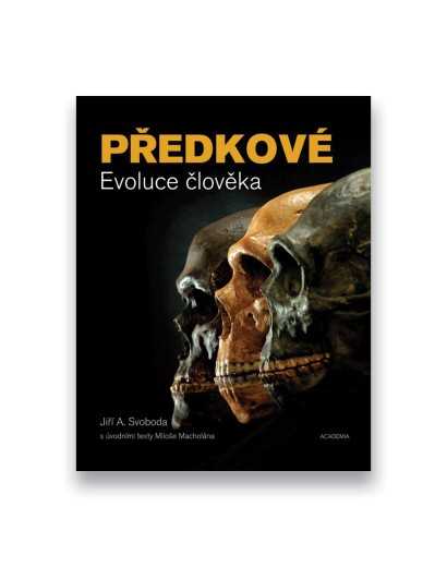 Předkové - Evoluce člověka